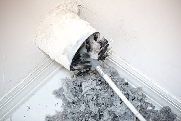 Best Ductwork Cleaning Services  in Tama, IA